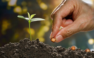 Leadership Growth: Nurturing Your True Potential (Part 2 of 2)
