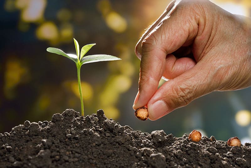 Leadership Growth: Nurturing Your True Potential (Part 2 of 2)